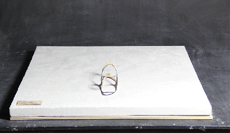 The Petal Hypothesis 1:20 Model