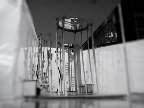 Garda  Massey - butcher and homeless