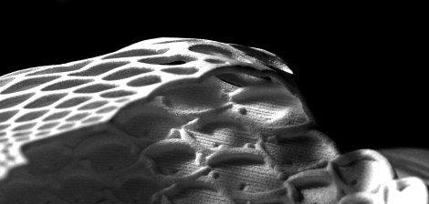 04 ATP World Arena - Paul Thorpe